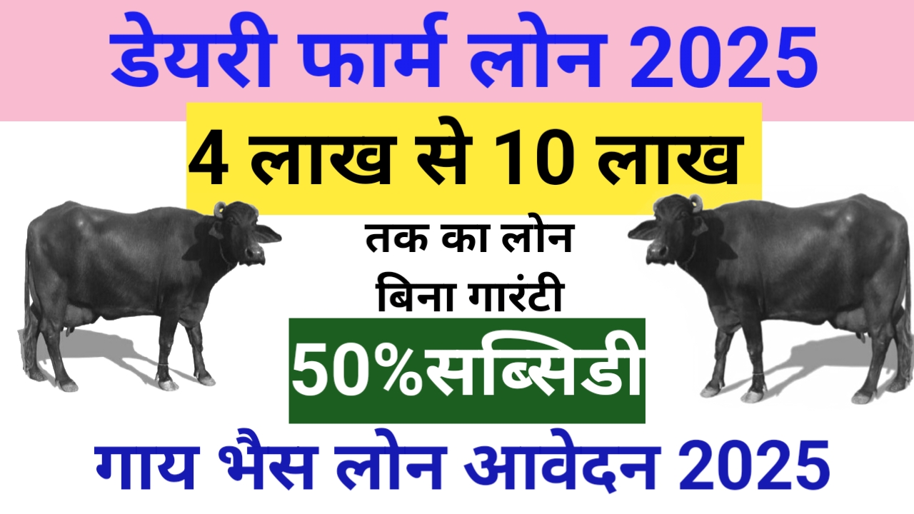 Dairy Farming Loan Apply Online